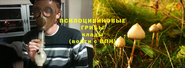 мескалин Краснослободск