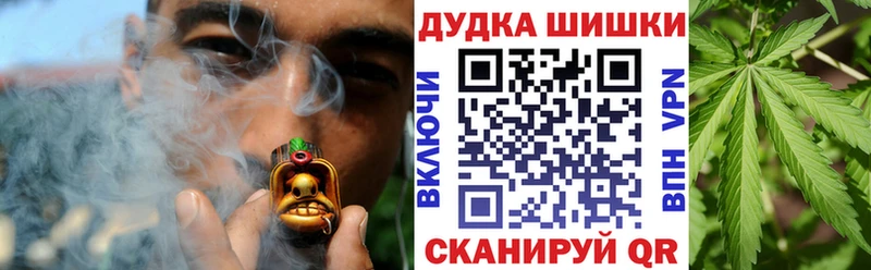 Бошки марихуана Amnesia  Купить закладки  Учалы 